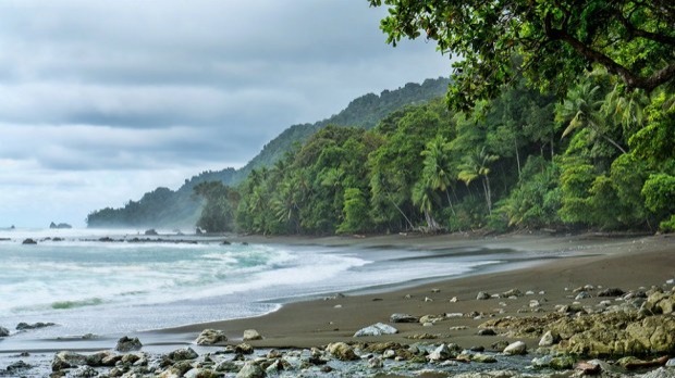 The National Park of Corcovado, located on the Osa Peninsula in Costa Rica’s southwest corner, is one of the most intense biological places on e...