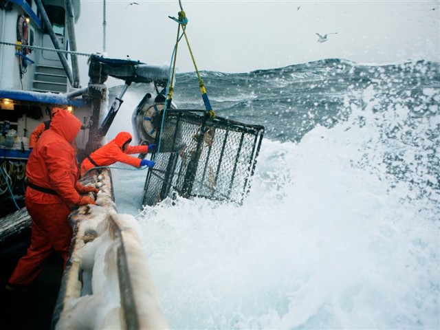 You may have seen the program on TV with the fishers from Alaska. This dangerous job is not a joke. They have to be able to work up to 24 hours a day, scrub ice off the boat, heavy lifting, and be aware of gigantic waves that could wipe any man off the boat. If you ask a an old fisherman if he have been in any dangerous situations where he luckily stayed alive, he would probably say yes.