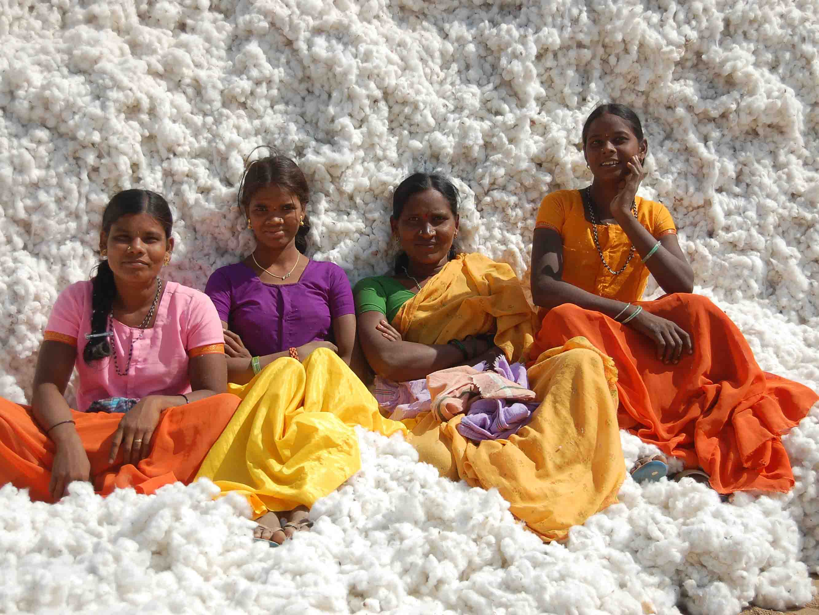 Cotton Production in Thousand Metric Tonnes: 6,423