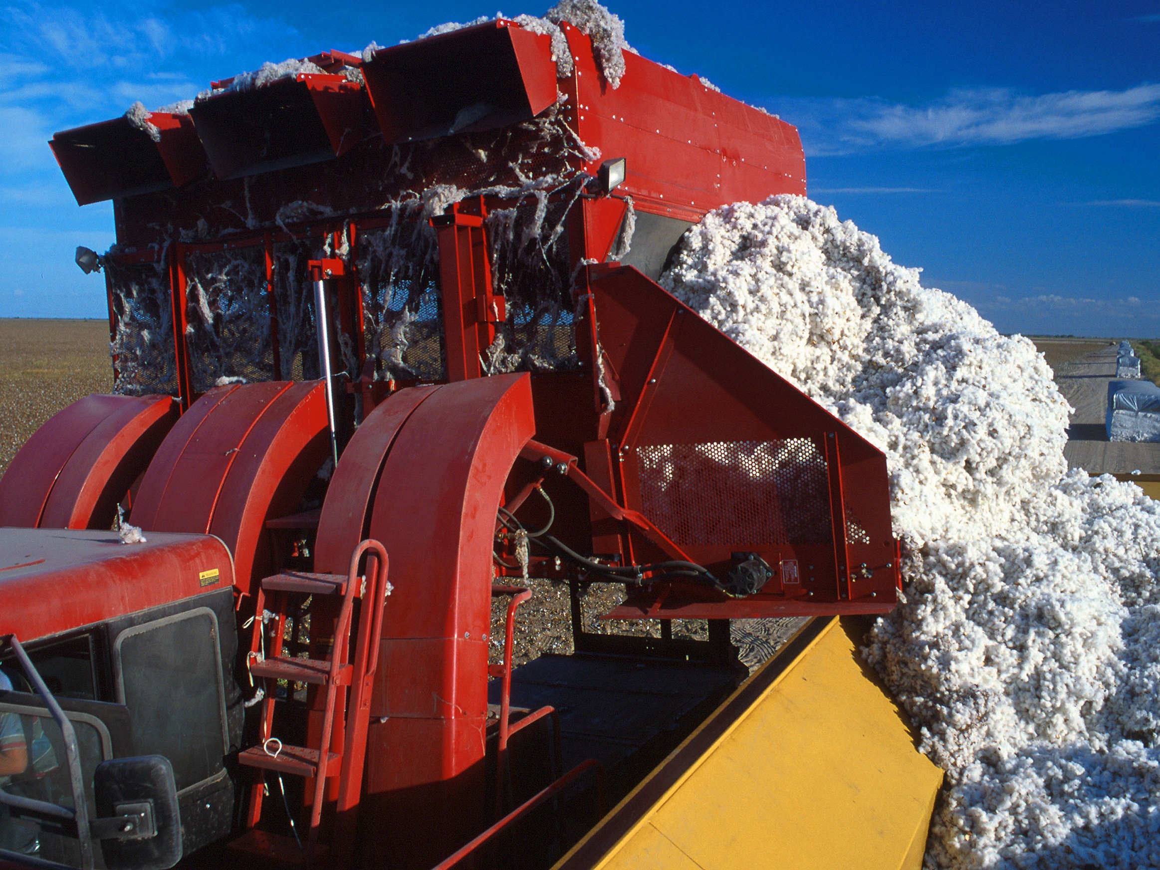 Cotton Production in Thousand Metric Tonnes: 3,553